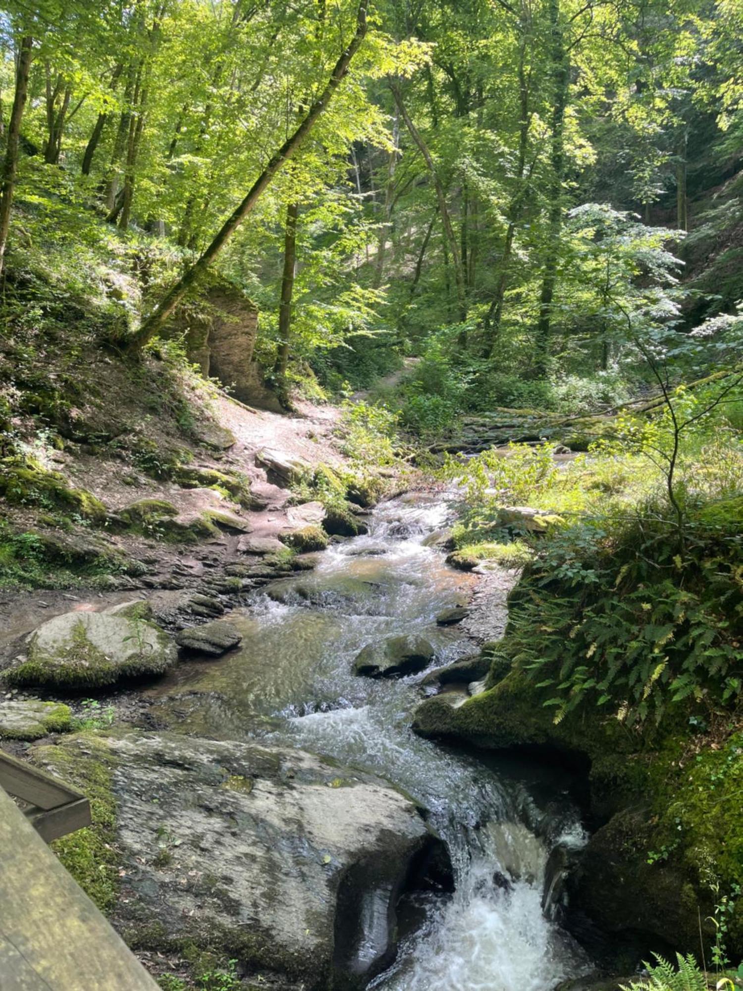 Am Apfelbaum, Ein Zwischen Rhein Und Mosel Дом отдыха